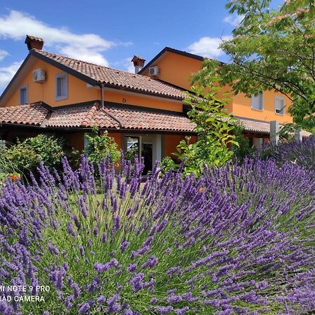Apartma Lavanda Koper Bagian luar foto