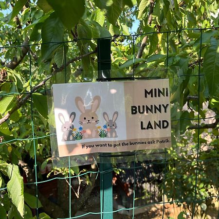 Apartma Lavanda Koper Bagian luar foto
