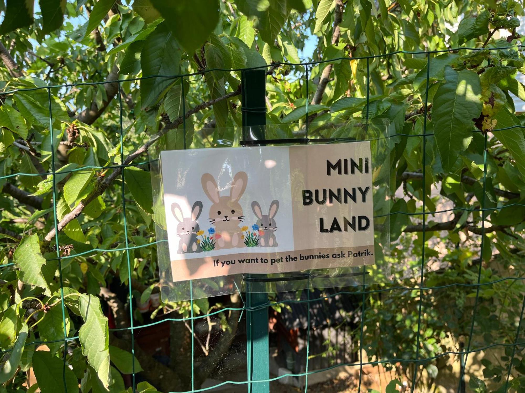 Apartma Lavanda Koper Bagian luar foto